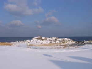 IMG_5666