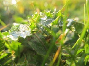 IMG_0065