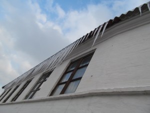 IMG_5145