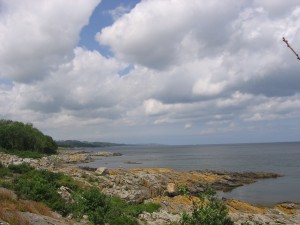 IMG_5789 (2)