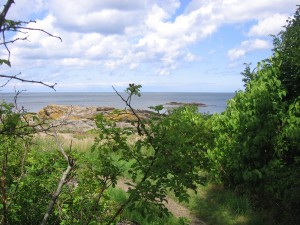 IMG_8101 (3)