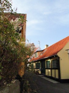 IMG_8143 (2)