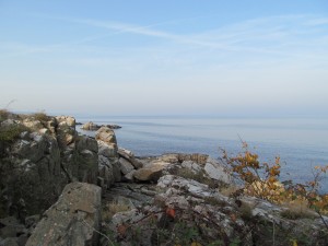 IMG_8211 (3)
