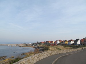 IMG_8219 (2)