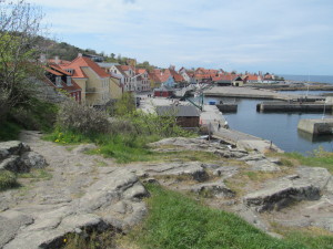 IMG_2970 (2)