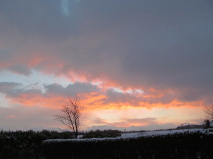 IMG_3449 (3)
