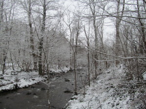 IMG_7193 (2)