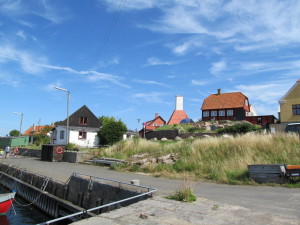 IMG_0545
