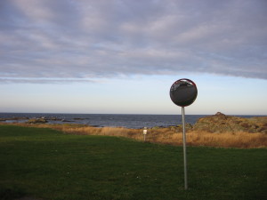 IMG_3739 (2)