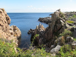 IMG_4049 (2)