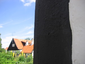 IMG_9350 (3)