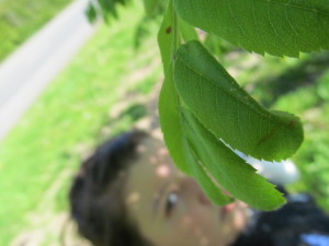 IMG_4612 (3)