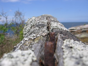 IMG_5936 (3)