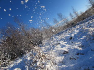 IMG_6681