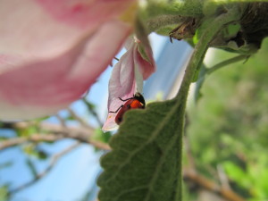 IMG_8808