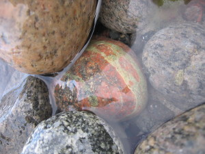 IMG_8544 (2)