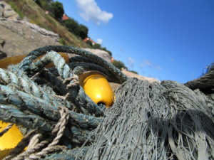 IMG_5063 (3)