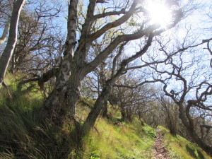 IMG_6310 (2)