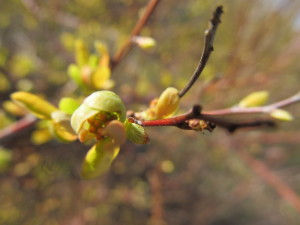 IMG_6772 (2)