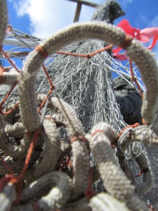 IMG_5026 (3)