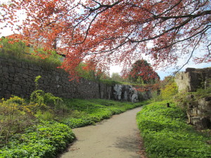 IMG_2551 (4)