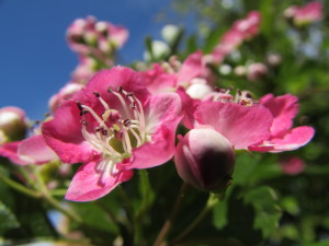 IMG_4855 (2)
