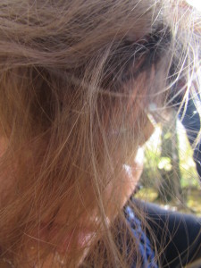 IMG_0358 (2)