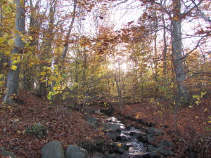IMG_3792 (2)
