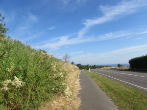 IMG_0882