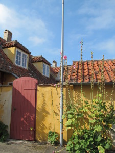 IMG_0915 (2)