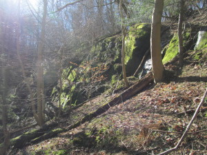 IMG_4473 (2)