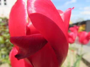 IMG_4699 (2)