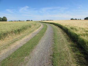 img_0479
