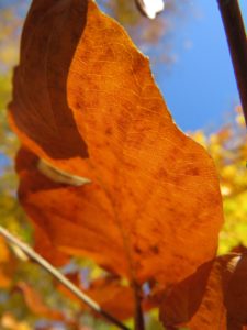img_1107