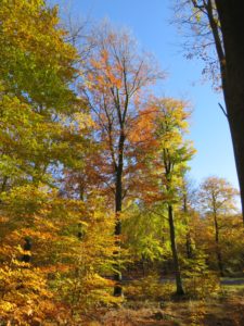 img_1144-4