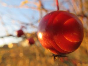 img_8440