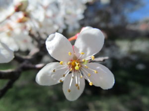 IMG_8751 (2)