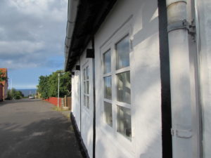 IMG_3786 (2)