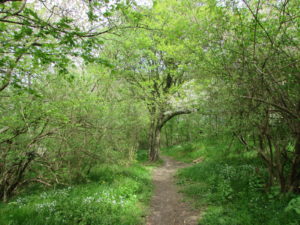 IMG_0360 (3)