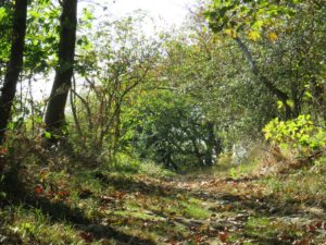 IMG_3757 (3)