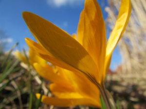 IMG_2151